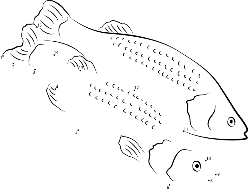 White Perch printable dot to dot worksheet