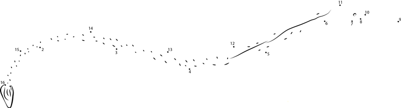 Bay Pipefish dot to dot worksheets