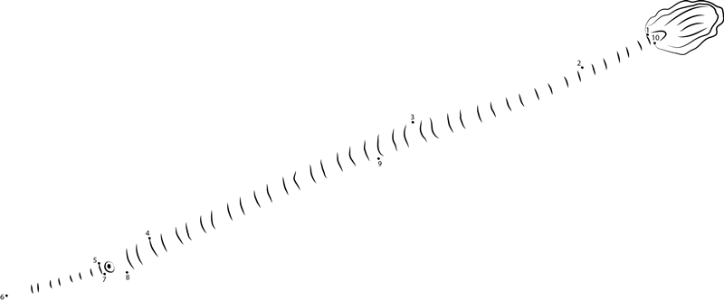 Broad Banded Pipefish printable dot to dot worksheet