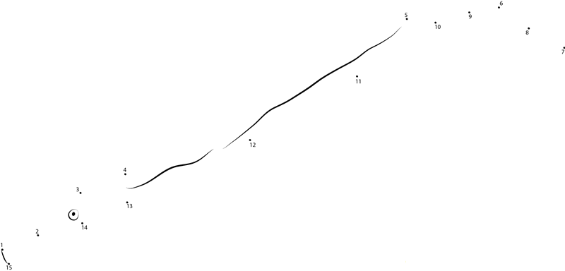 Doubleended Pipefish dot to dot worksheets