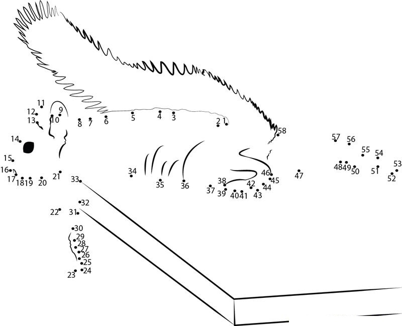 Adventure Of Squirrel dot to dot worksheets