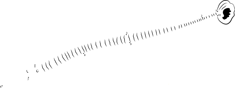 Glittering Pipefish printable dot to dot worksheet