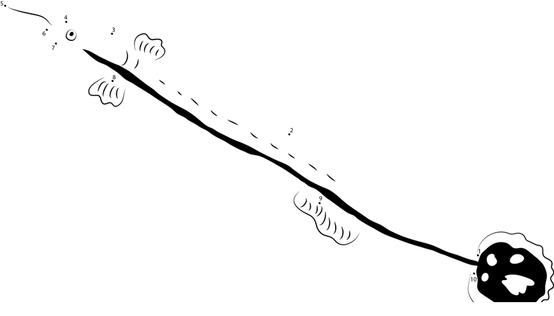 Janss Pipefish dot to dot worksheets