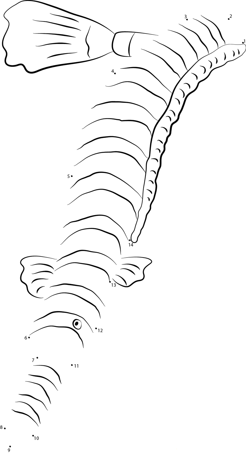 Male Banded Pipefish printable dot to dot worksheet