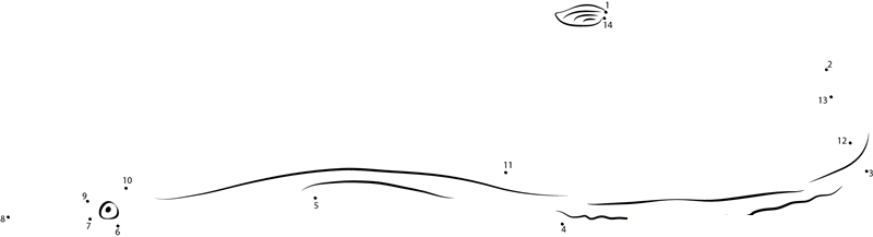 Northern Pipefish printable dot to dot worksheet