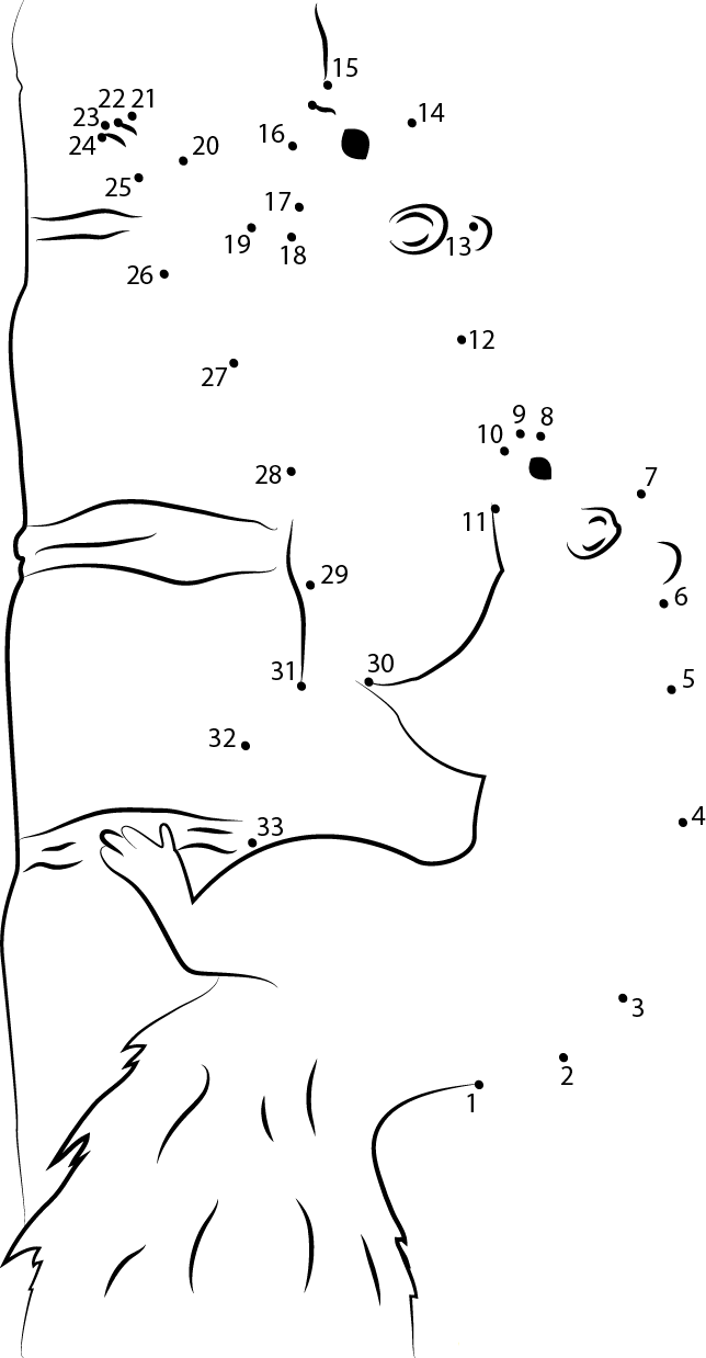 Eastern Gray Squirrel On Tree dot to dot worksheets