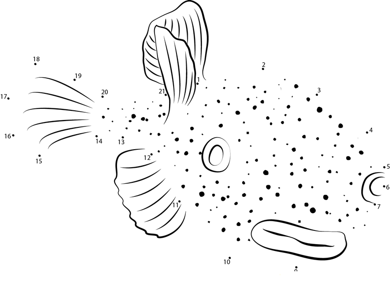 Diodon Hystrix printable dot to dot worksheet