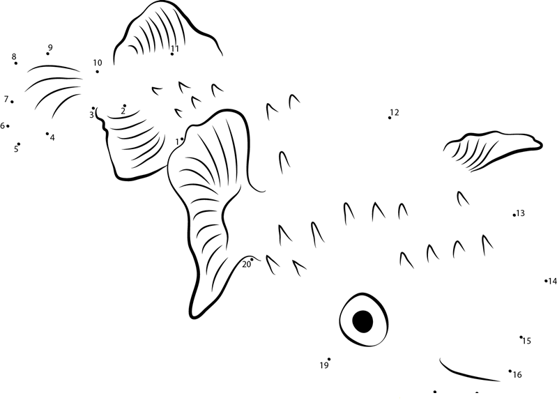 Longspine Porcupinefish dot to dot worksheets