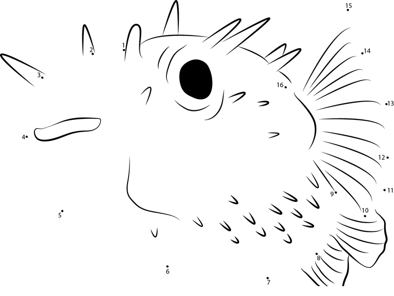 Porcupinefish dot to dot worksheets