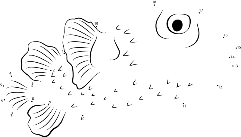 Sad Porcupinefish dot to dot worksheets