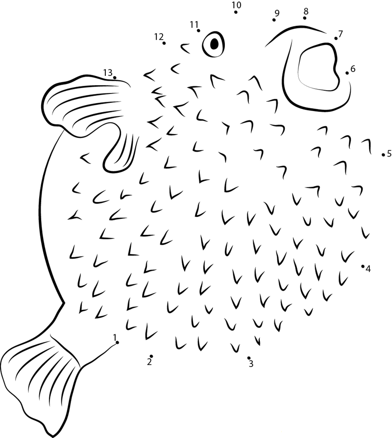 Spotfin Burrfish dot to dot worksheets