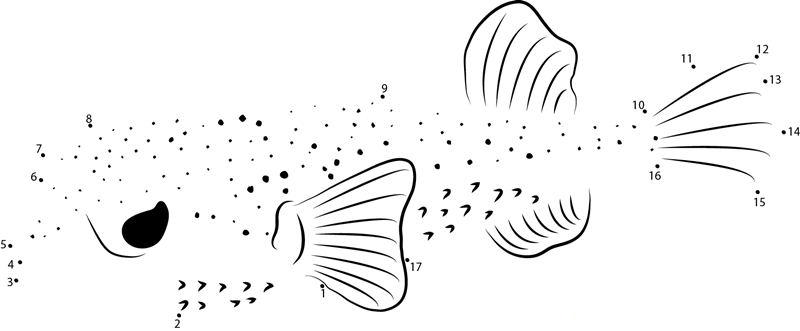 Spotted Burrfish dot to dot worksheets