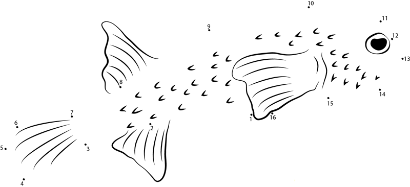 Tetraodontidae dot to dot worksheets