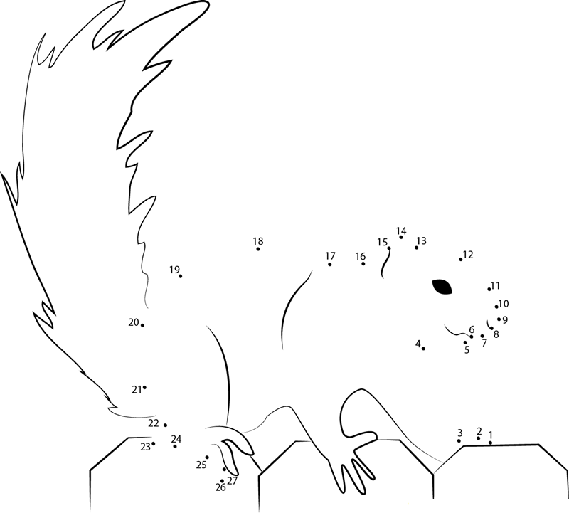 Fox Squirrel dot to dot worksheets