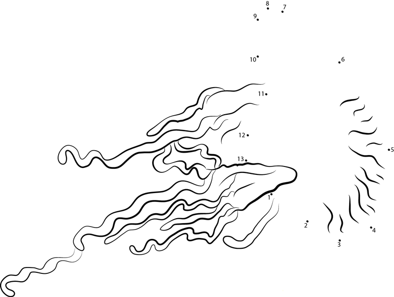 Physalia Physalis dot to dot worksheets