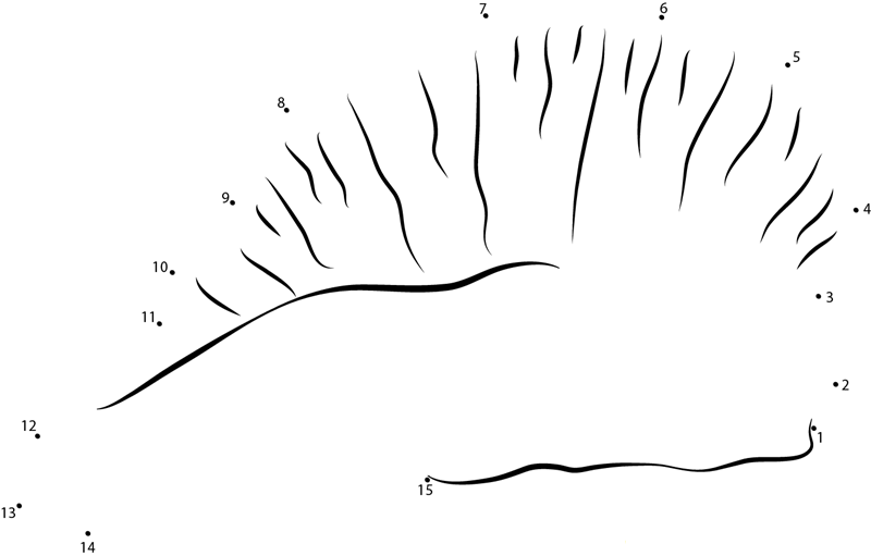 Portuguese Man Of War In Bermuda dot to dot worksheets