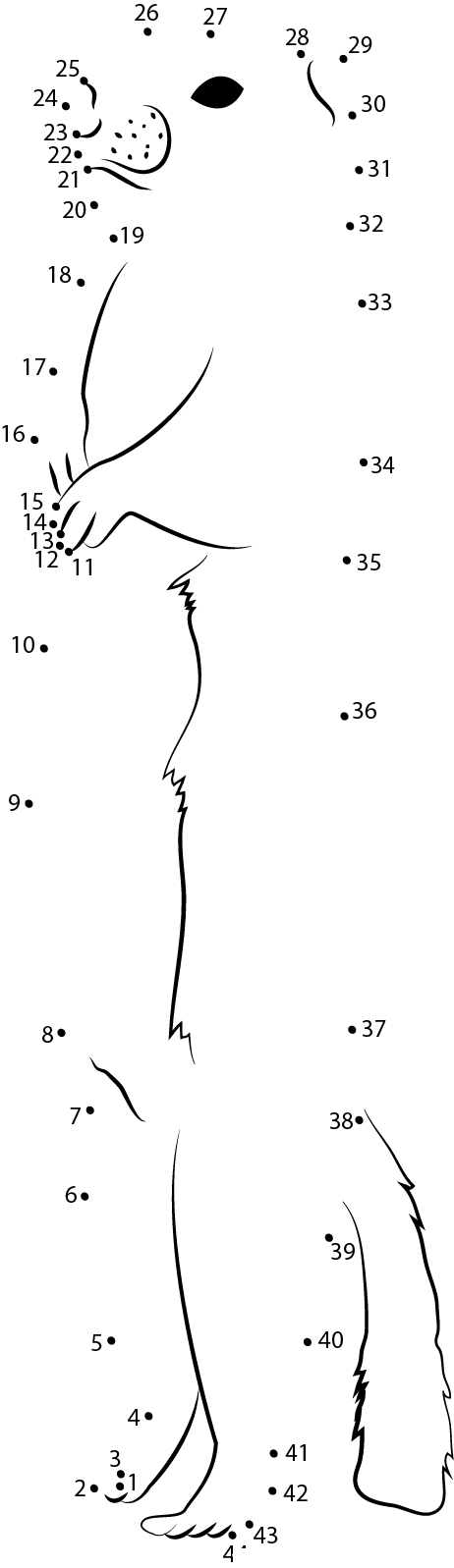 Ground Squirrel Walton dot to dot worksheets