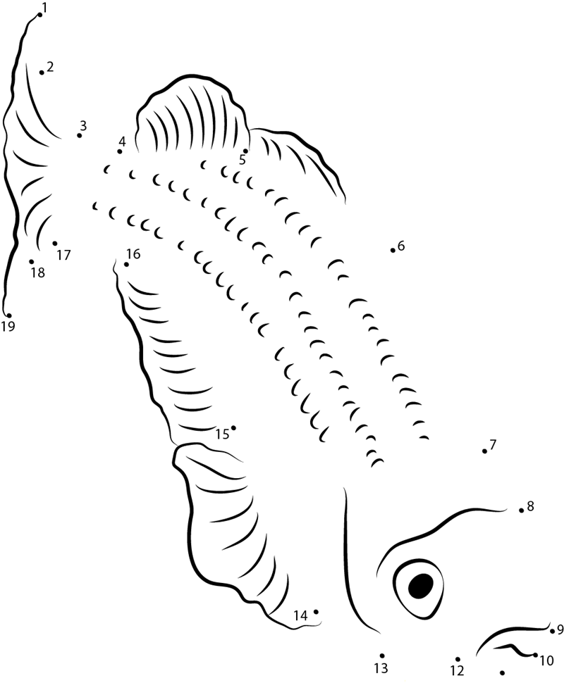 Threadfin Rainbowfish dot to dot worksheets