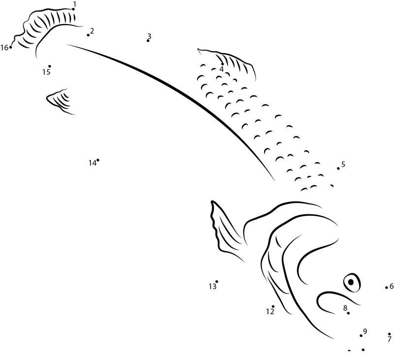 Australian Salmon printable dot to dot worksheet