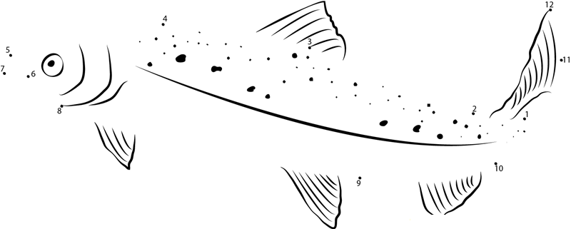 Coho Salmon dot to dot worksheets