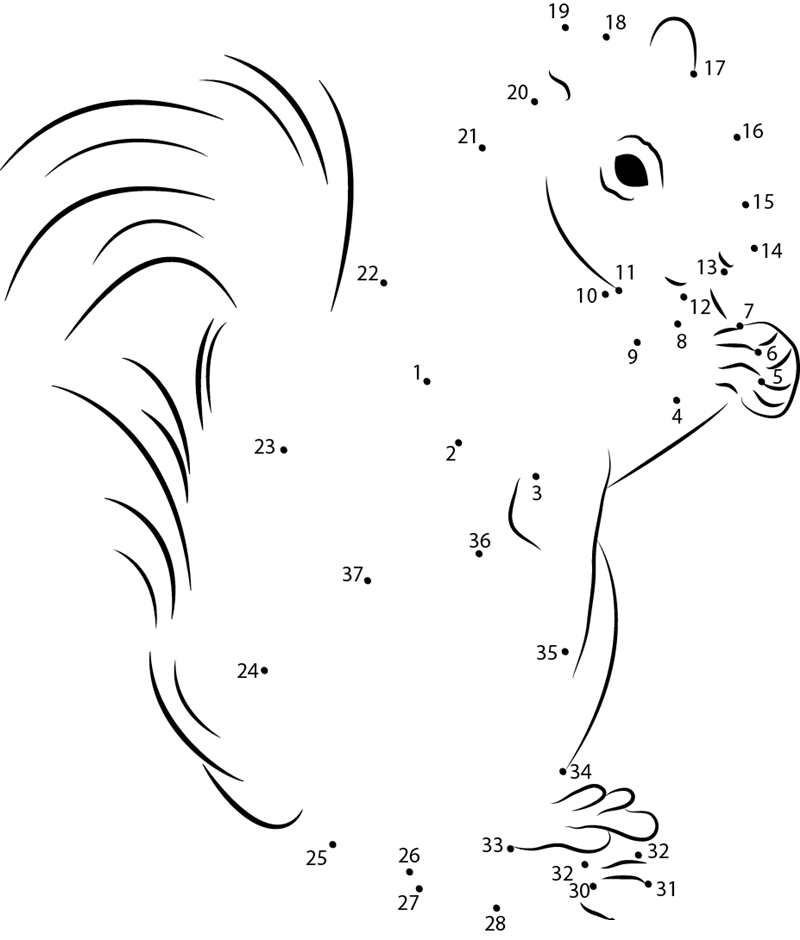 March Versus Squirrel On Deck Crop printable dot to dot worksheet