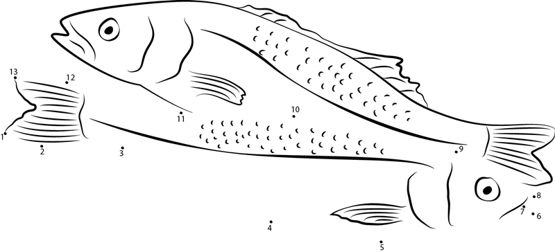 Hawaiian Salmon dot to dot worksheets