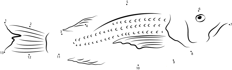 Red Snapper dot to dot worksheets