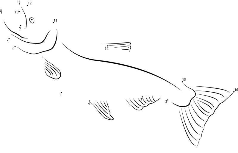 Sockeye Salmon printable dot to dot worksheet