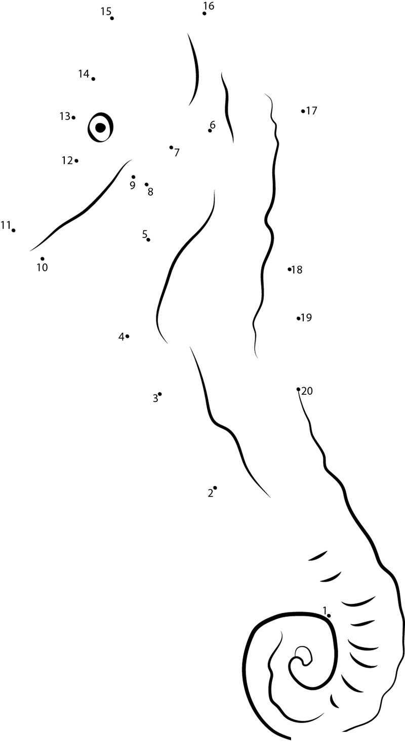 A Stunning Seahorse On The Fringing Seagrass dot to dot worksheets