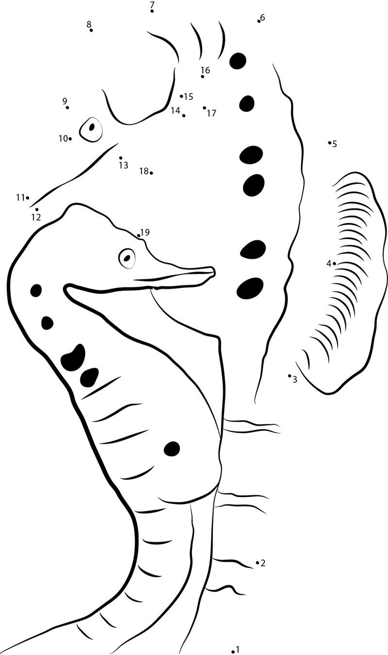 Beautiful Baby Seahorse With His Mother dot to dot worksheets