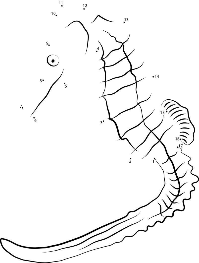 Bigbelly Seahorse printable dot to dot worksheet