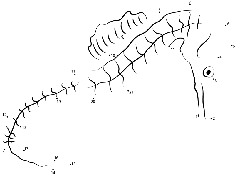 Brazilian Seahorse printable dot to dot worksheet