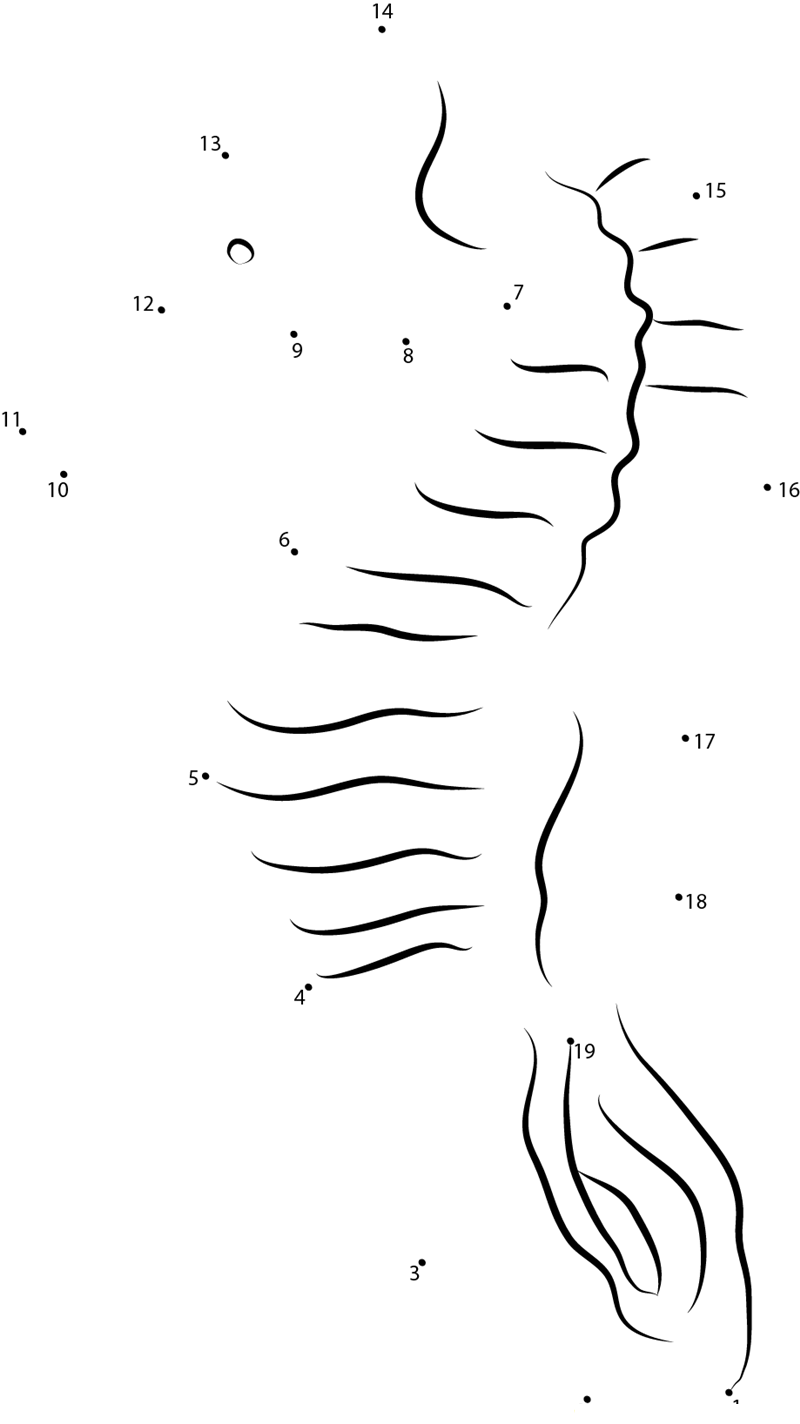 Common Seahorse printable dot to dot worksheet