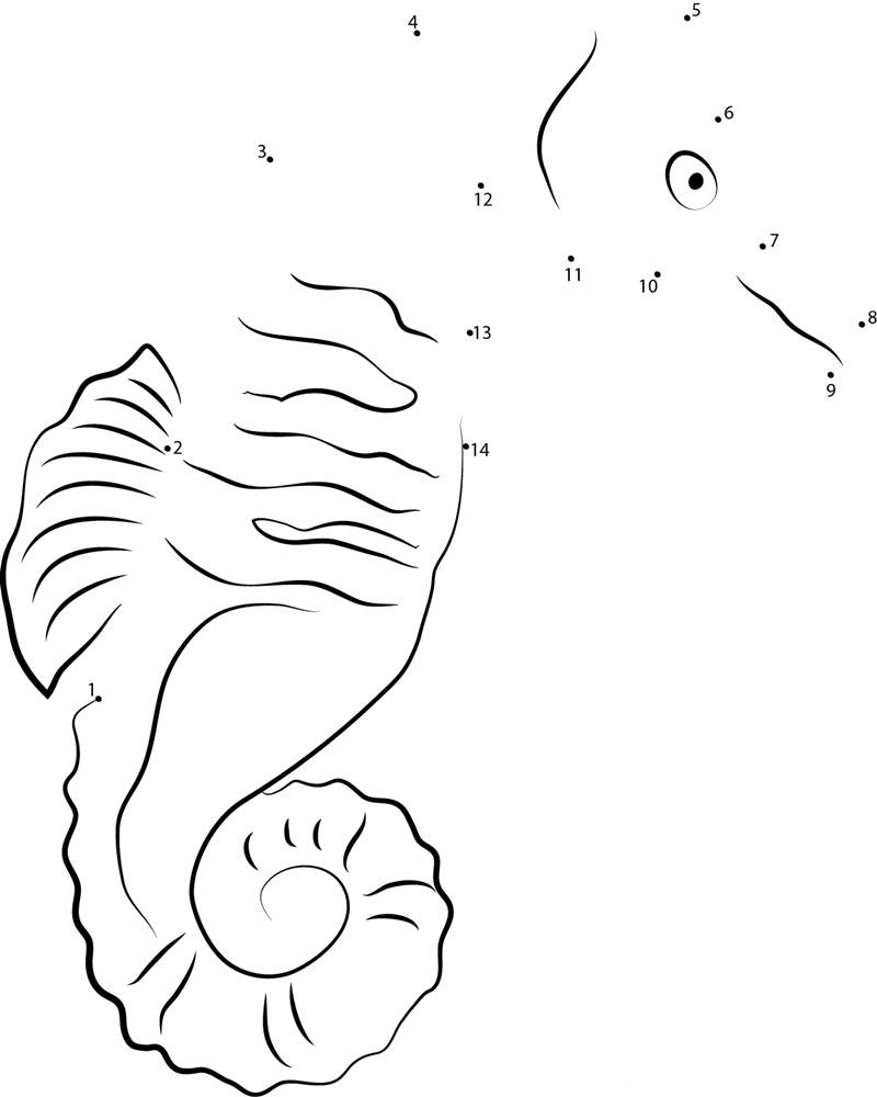 Denver Zoo Seahorse printable dot to dot worksheet