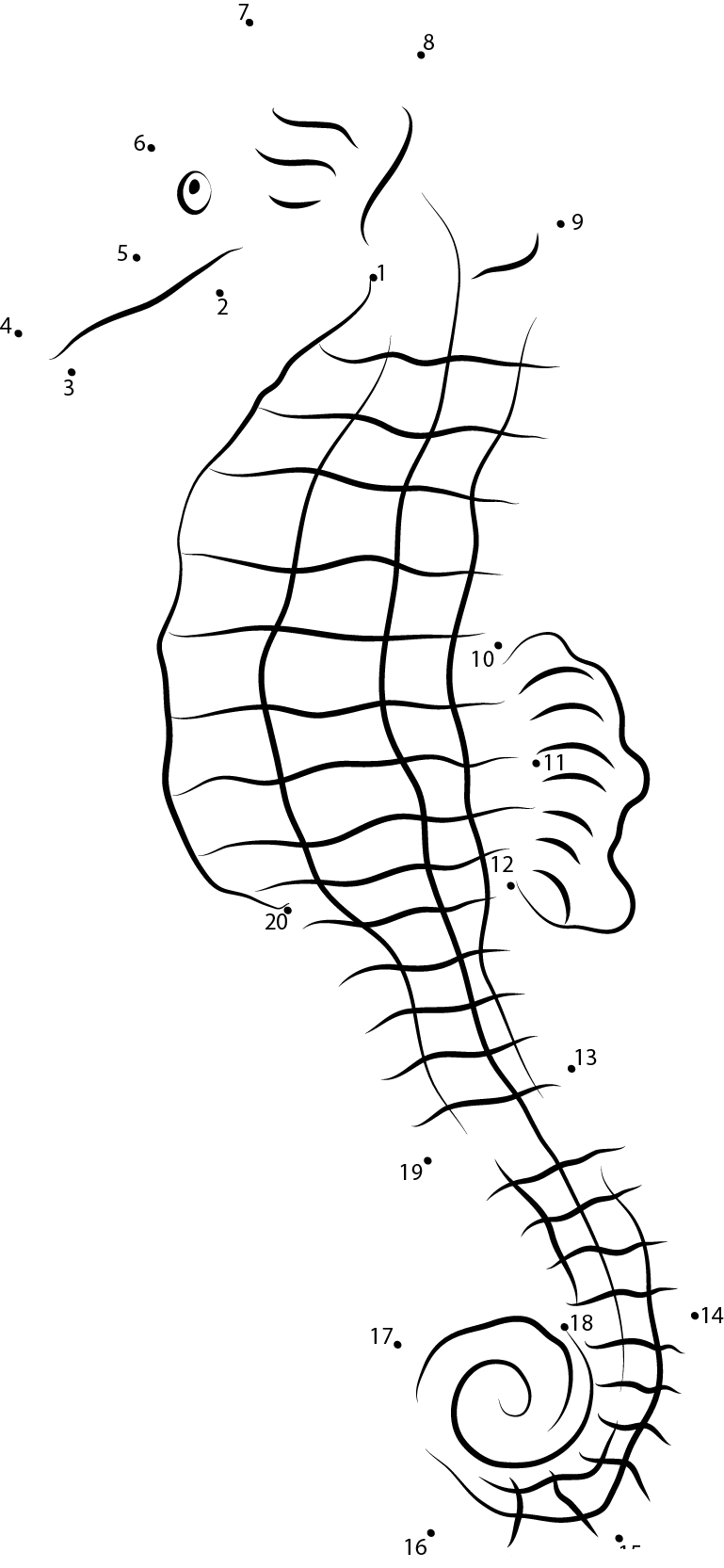 Dried Seahorse printable dot to dot worksheet