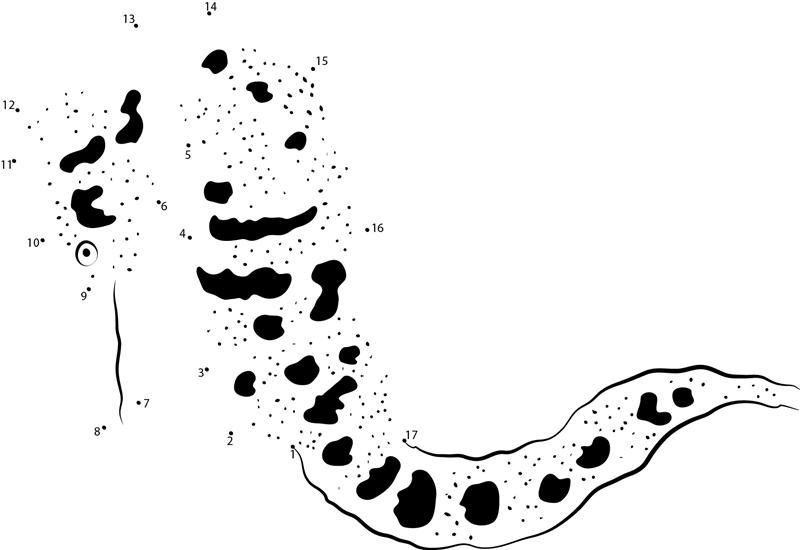 Giant Seahorse printable dot to dot worksheet