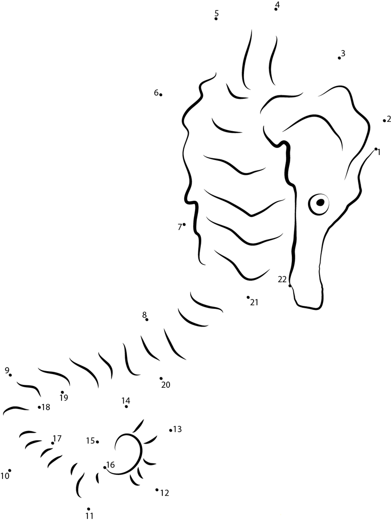 Hippocampus Tristis dot to dot worksheets