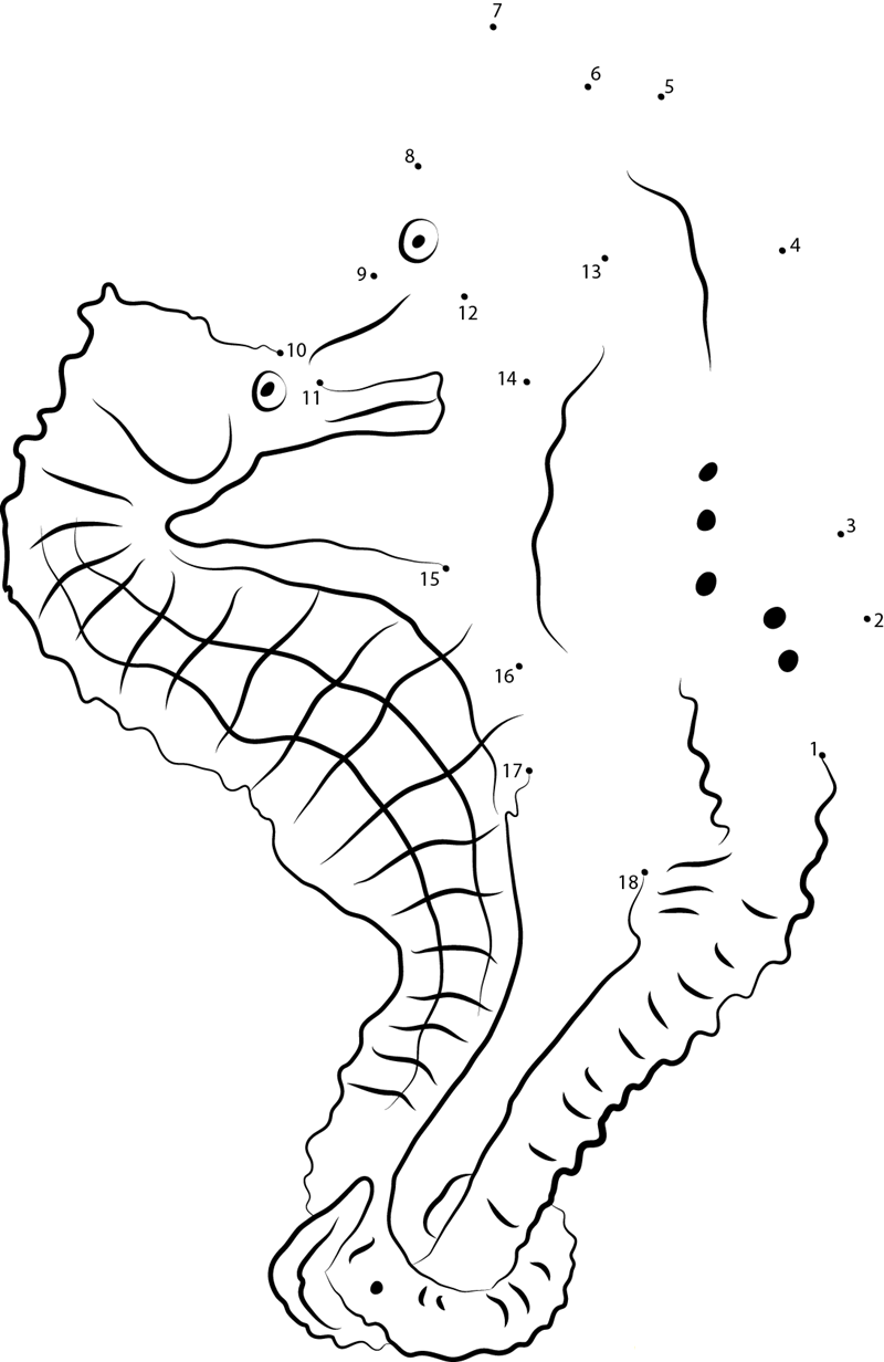 Lined Seahorse printable dot to dot worksheet