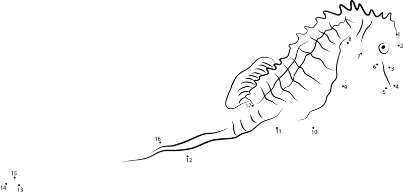 Long Snouted Seahorse printable dot to dot worksheet