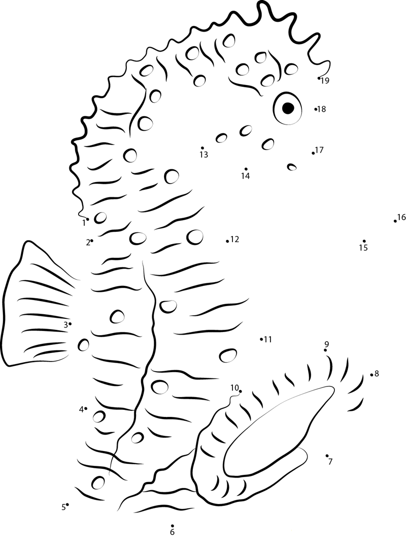 Orange Seahorse printable dot to dot worksheet