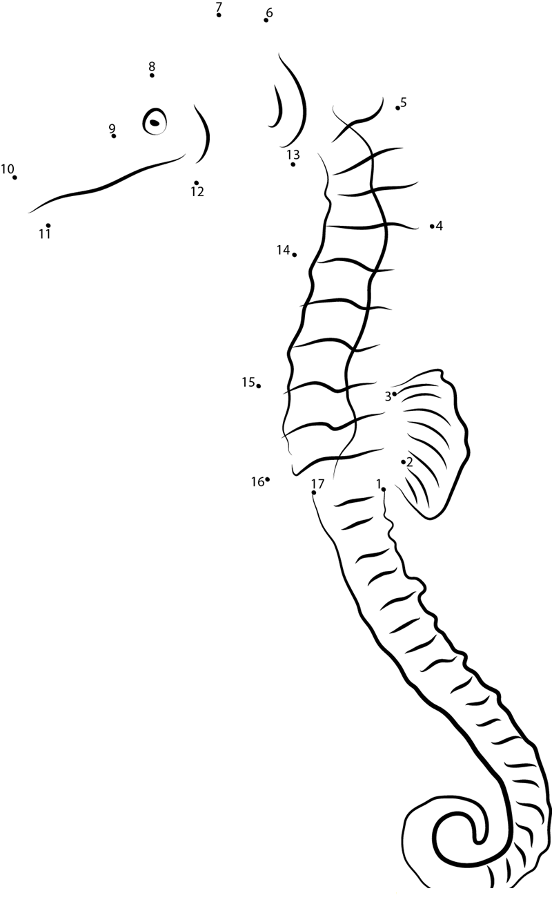 Pacific Seahorse dot to dot worksheets