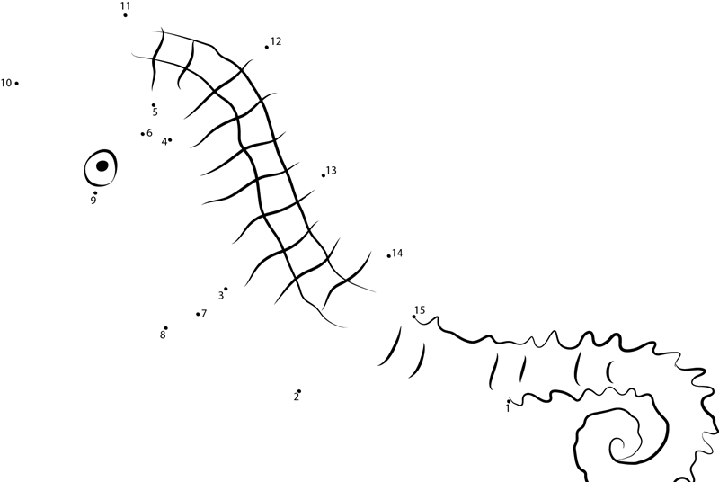 Pretty Seahorse dot to dot worksheets