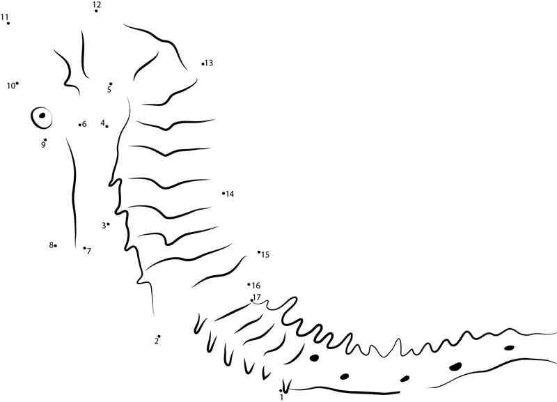 Seahorse At Bottom Of The Sea dot to dot worksheets