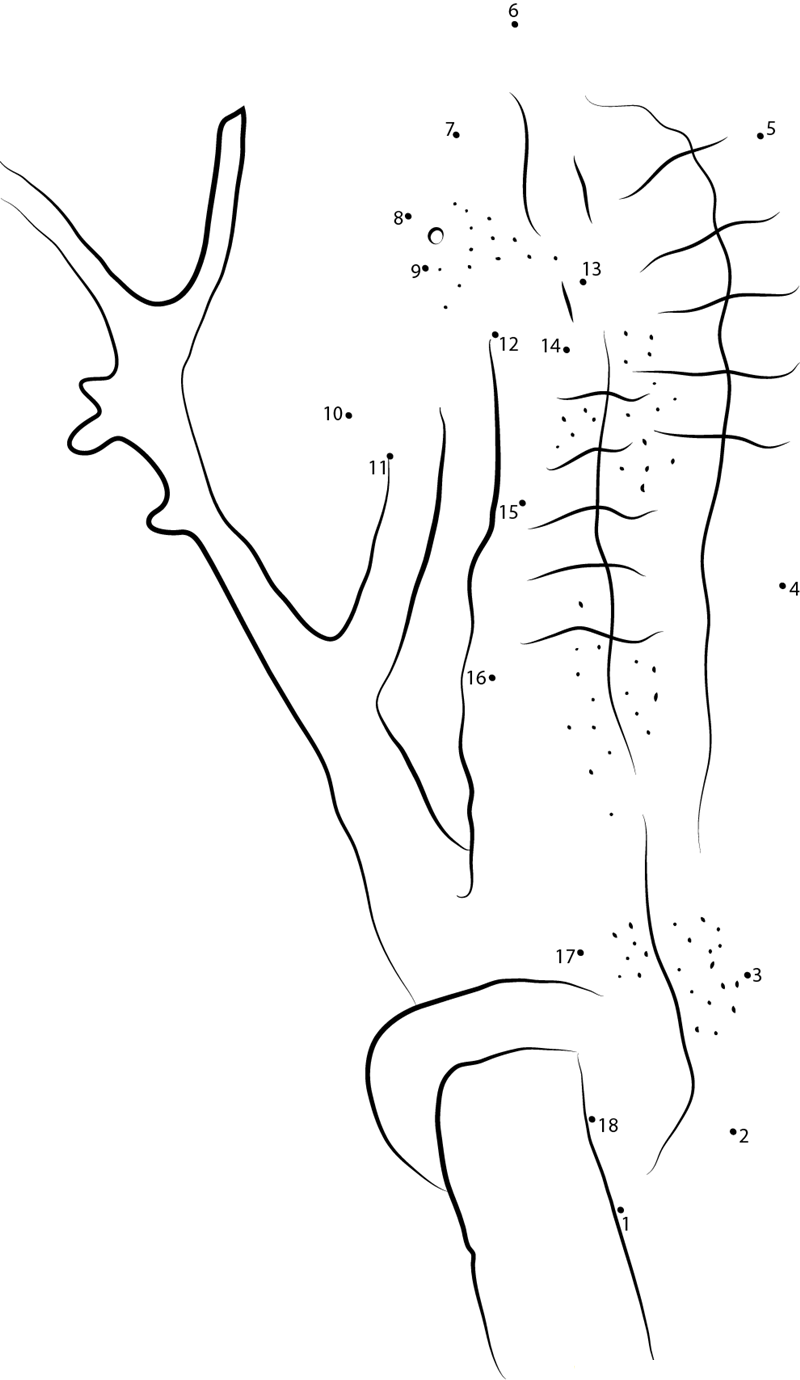 Seahorse In Birch Aquarium dot to dot worksheets