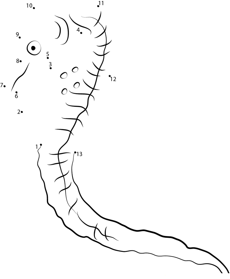 Tankbred Colored Seahorse printable dot to dot worksheet