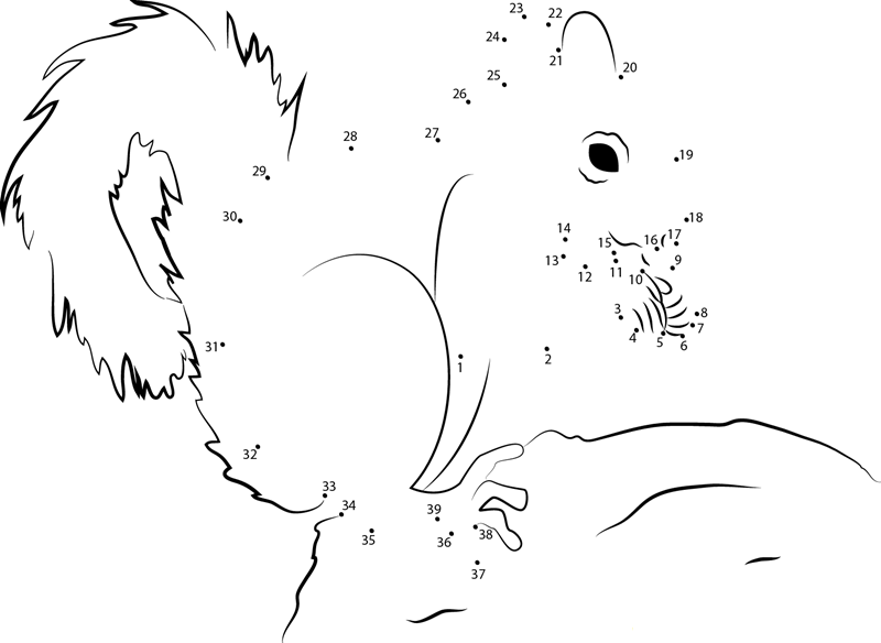 Red Squirrel Don dot to dot worksheets