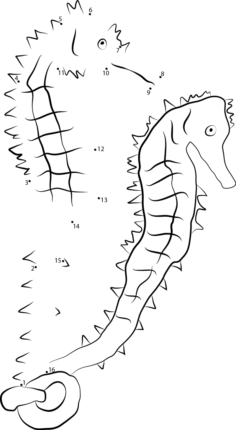 Tiger Tail Seahorse dot to dot worksheets