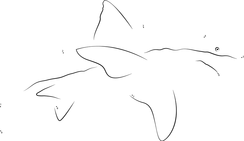 Bigeye Sixgill Shark dot to dot worksheets