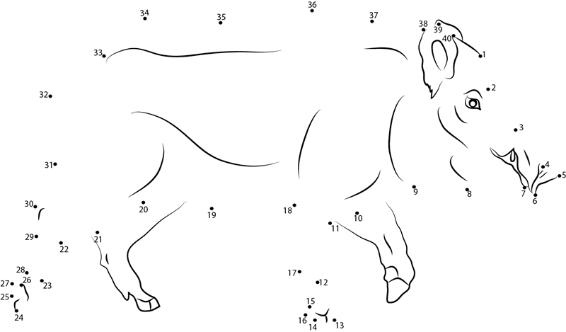 Male Boar dot to dot worksheets