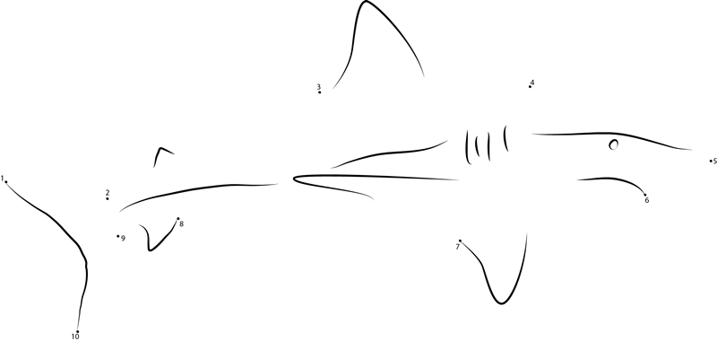 Shark In Georgia Aquarium dot to dot worksheets